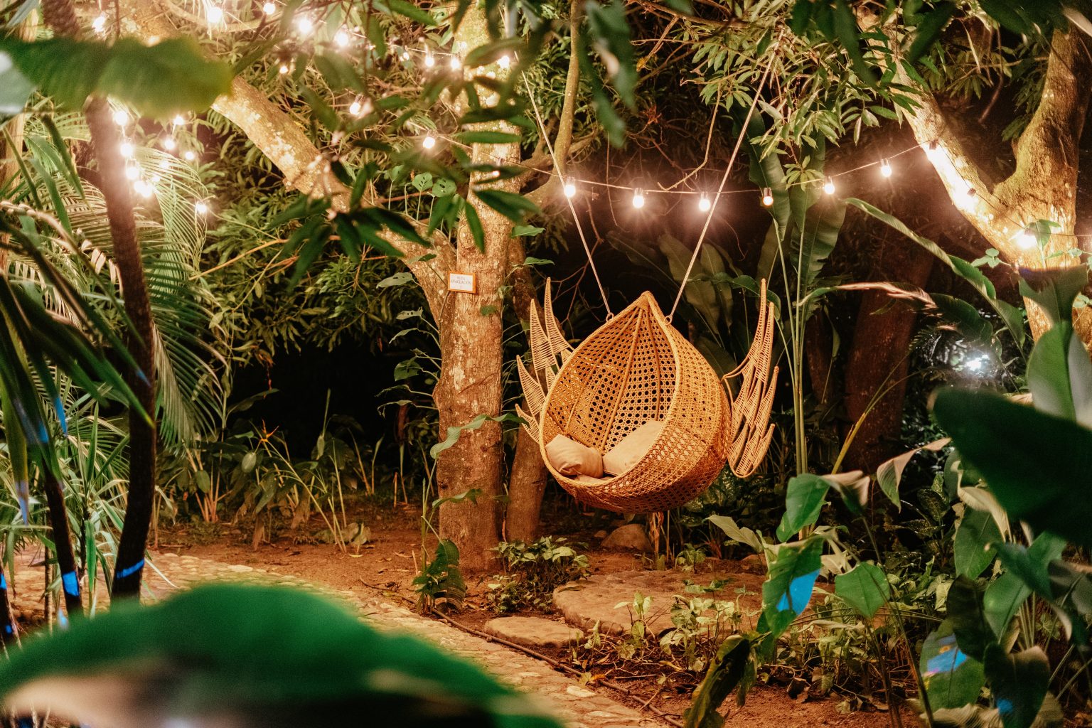 Night,View,Of,A,Peaceful,Natural,Setting,With,Warm,String